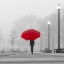 Picture of BRIGHT UMBRELLA