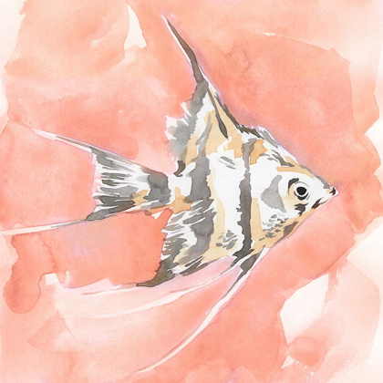 Picture of BLUSH AND OCHRE ANGEL FISH I
