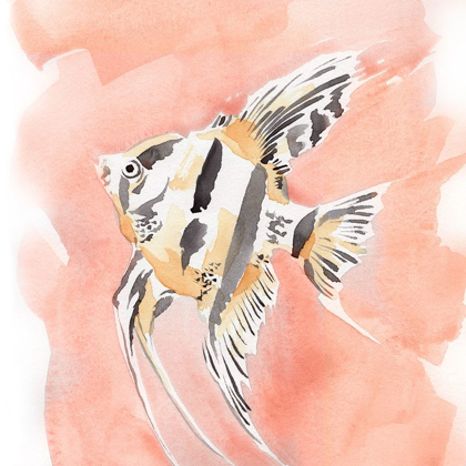 Picture of BLUSH AND OCHRE ANGEL FISH II