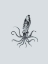 Picture of MARINE LIFE II