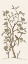 Picture of SEPIA CHINOISERIE I