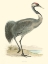 Picture of SMALL MORRIS CRANE I