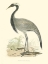 Picture of SMALL MORRIS CRANE II