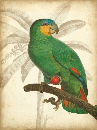 Picture of CUSTOM PARROT AND PALM I