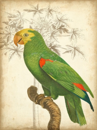 Picture of CUSTOM PARROT AND PALM III