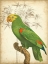 Picture of CUSTOM PARROT AND PALM III