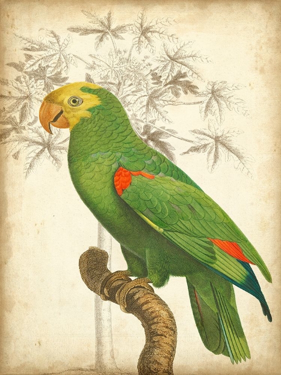 Picture of CUSTOM PARROT AND PALM III