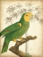 Picture of CUSTOM PARROT AND PALM IV