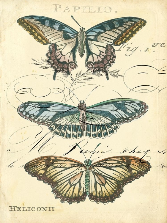 Picture of CUSTOM BUTTERFLY EPHEMERA I (GC)