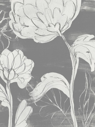 Picture of GRAYSCALE GARDEN II