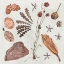 Picture of SMALL THINGS II