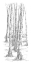 Picture of BIRCH TREE SKETCH II