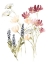 Picture of LOBELIA GARDEN I
