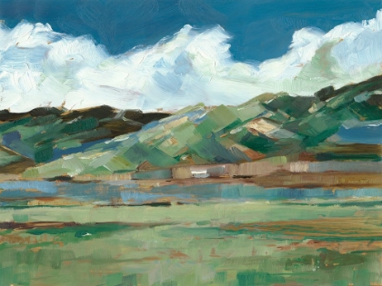 Picture of WESTERN SKY I