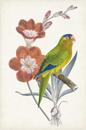 Picture of TROPICAL BIRD AND FLOWER III