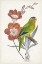 Picture of TROPICAL BIRD AND FLOWER III