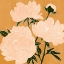 Picture of MODERN PEONIES II