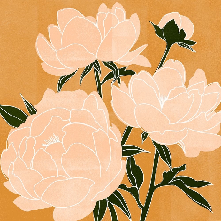 Picture of MODERN PEONIES II