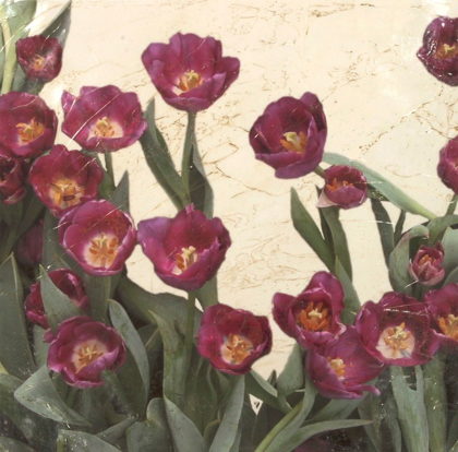 Picture of SPRING TULIPS I