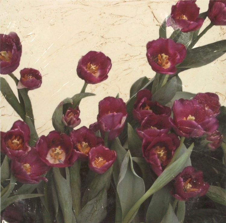 Picture of SPRING TULIPS II