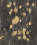 Picture of CELESTIAL DOWNPOUR