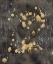 Picture of COSMIC DOWNPOUR