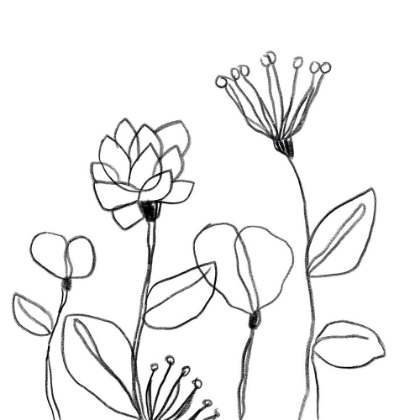 Picture of SPINDLE BLOSSOMS I