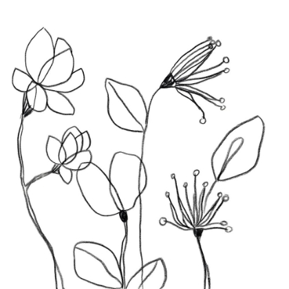 Picture of SPINDLE BLOSSOMS II