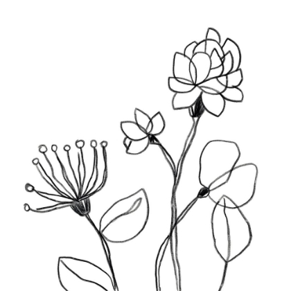 Picture of SPINDLE BLOSSOMS III