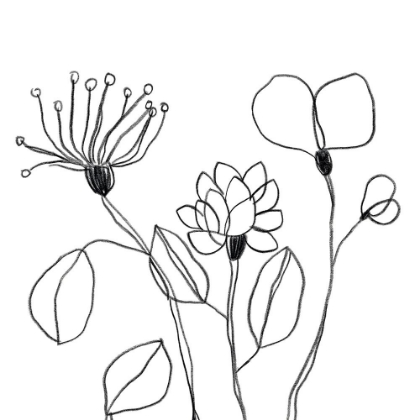 Picture of SPINDLE BLOSSOMS IV