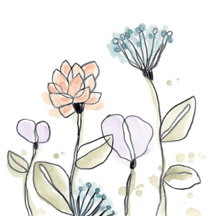 Picture of SPINDLE BLOSSOMS V
