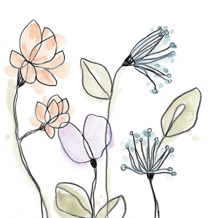 Picture of SPINDLE BLOSSOMS VI