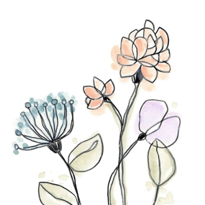 Picture of SPINDLE BLOSSOMS VII