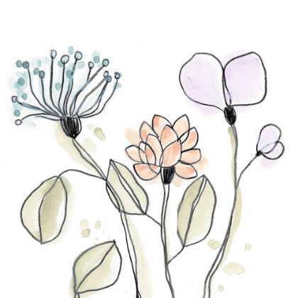 Picture of SPINDLE BLOSSOMS VIII