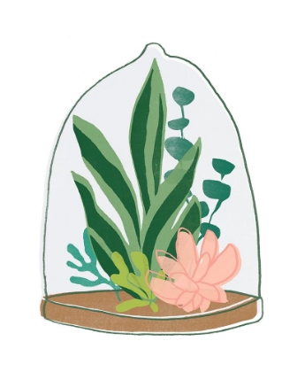 Picture of TERRARIUM CAMEO VII