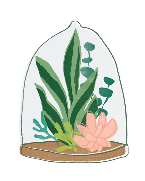 Picture of TERRARIUM CAMEO VII