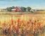 Picture of COUNTRY VIEW I