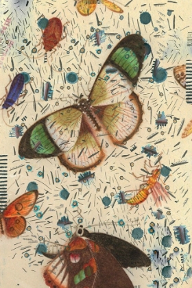 Picture of CONFETTI WITH BUTTERFLIES IV