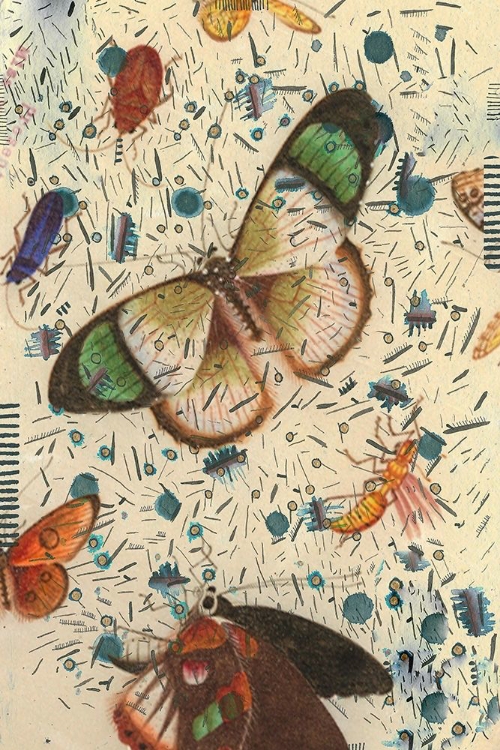 Picture of CONFETTI WITH BUTTERFLIES IV