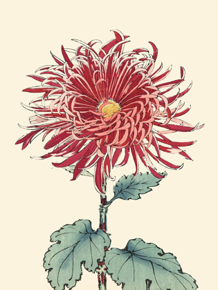 Picture of CHRYSANTHEMUM WOODBLOCK I