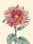 Picture of CHRYSANTHEMUM WOODBLOCK I