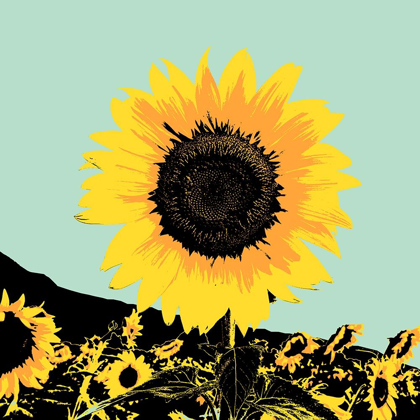 Picture of POP ART SUNFLOWER I