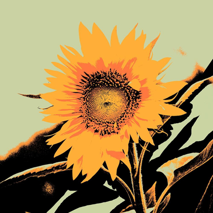 Picture of POP ART SUNFLOWER II