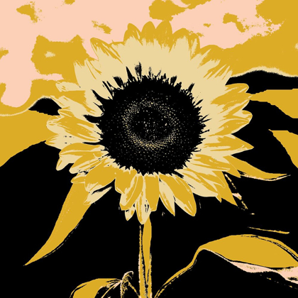 Picture of POP ART SUNFLOWER IV