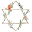 Picture of ADORNED STAR I