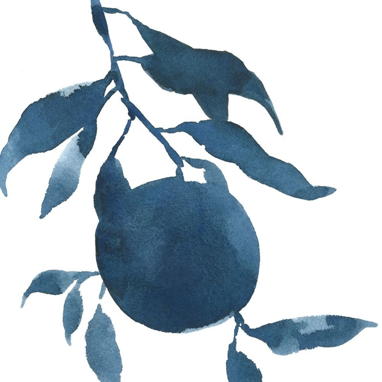 Picture of INDIGO ORANGES III