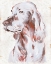 Picture of SITTING DOG III