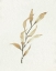 Picture of SOFT AUTUMN BRANCH I