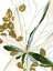 Picture of TROPICAL IMPROMPTU I