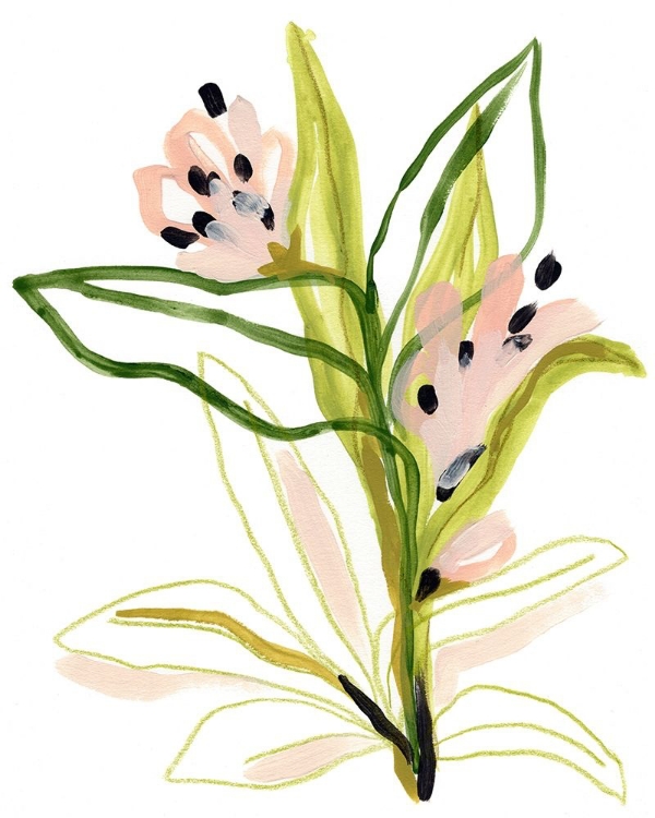 Picture of TROPICAL CADENZA III